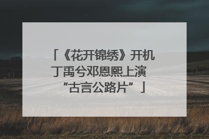 《花开锦绣》开机 丁禹兮邓恩熙上演“古言公路片”