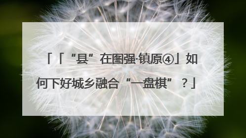 「“县”在图强·镇原④」如何下好城乡融合“一盘棋”？