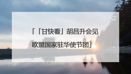「甘快看」胡昌升会见欧盟国家驻华使节团