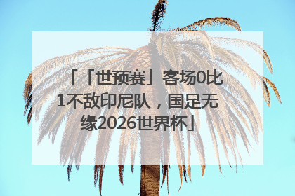 「世预赛」客场0比1不敌印尼队，国足无缘2026世界杯