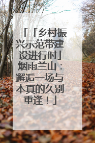 「乡村振兴示范带建设进行时」烟雨兰山：邂逅一场与本真的久别重逢！
