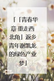 「青春华章·重走西北角」返乡青年谢凯龙的绿色产业梦