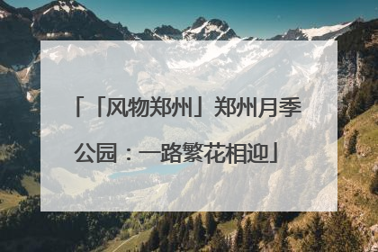「风物郑州」郑州月季公园：一路繁花相迎