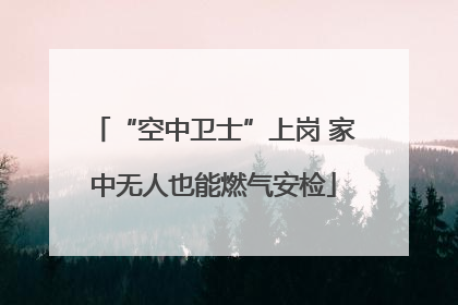 “空中卫士”上岗 家中无人也能燃气安检