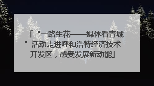 “一路生花——媒体看青城”活动走进呼和浩特经济技术开发区，感受发展新动能