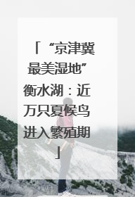 “京津冀最美湿地”衡水湖：近万只夏候鸟进入繁殖期