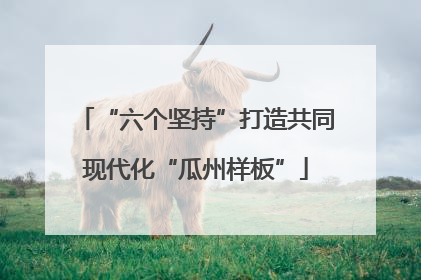 “六个坚持”打造共同现代化“瓜州样板”