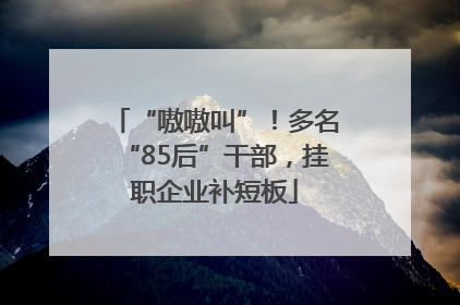 “嗷嗷叫”！多名“85后”干部，挂职企业补短板
