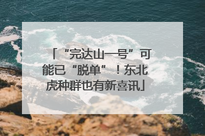 “完达山一号”可能已“脱单”！东北虎种群也有新喜讯