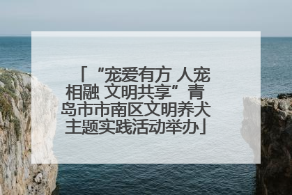 “宠爱有方 人宠相融 文明共享”青岛市市南区文明养犬主题实践活动举办