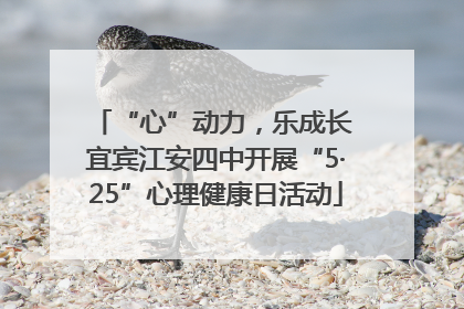 “心”动力，乐成长 宜宾江安四中开展“5·25”心理健康日活动
