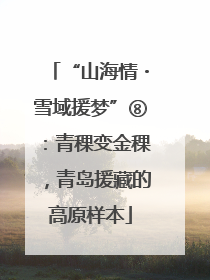“山海情・雪域援梦”⑧：青稞变金稞，青岛援藏的高原样本