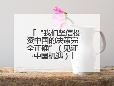“我们坚信投资中国的决策完全正确”（见证·中国机遇）