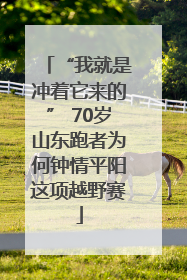 “我就是冲着它来的” 70岁山东跑者为何钟情平阳这项越野赛