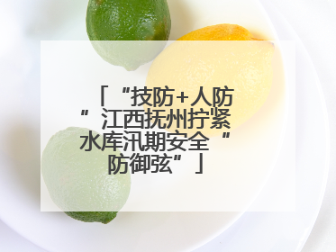 “技防+人防”江西抚州拧紧水库汛期安全“防御弦”