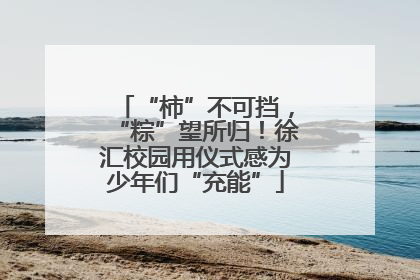 “柿”不可挡，“粽”望所归！徐汇校园用仪式感为少年们“充能”