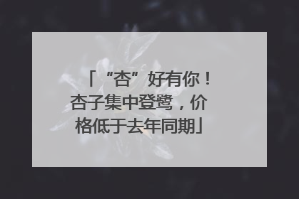 “杏”好有你！杏子集中登鹭，价格低于去年同期