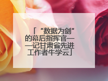 “数据为剑”的幕后指挥官——记甘肃省先进工作者牛学云