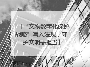“文物数字化保护战略”写入法规，守护文明需担当