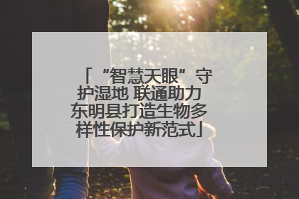 “智慧天眼”守护湿地 联通助力东明县打造生物多样性保护新范式