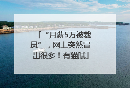 “月薪5万被裁员”，网上突然冒出很多！有猫腻
