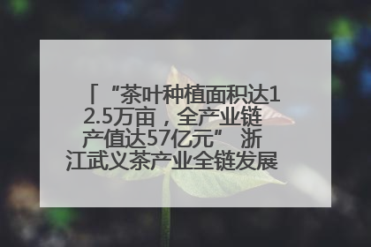 “茶叶种植面积达12.5万亩，全产业链产值达57亿元” 浙江武义茶产业全链发展“加速度”