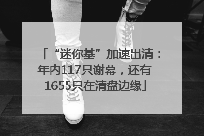 “迷你基”加速出清：年内117只谢幕，还有1655只在清盘边缘