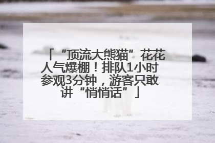 “顶流大熊猫”花花人气爆棚！排队1小时参观3分钟，游客只敢讲“悄悄话”