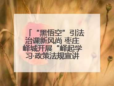 “黑悟空”引法治课新风尚 枣庄峄城开展“峄起学习·政策法规宣讲面对面”活动