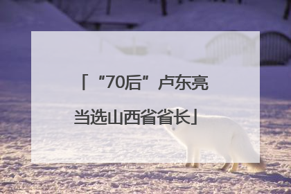 “70后”卢东亮当选山西省省长