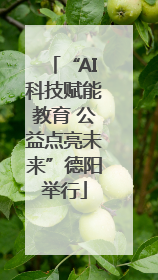 “AI科技赋能教育 公益点亮未来”德阳举行