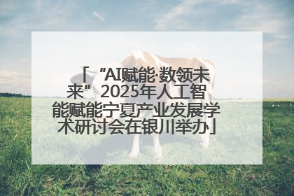 “AI赋能·数领未来”2025年人工智能赋能宁夏产业发展学术研讨会在银川举办
