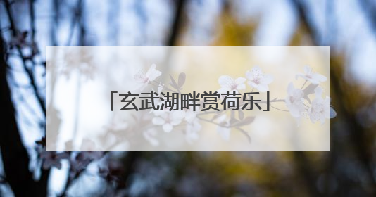 玄武湖畔赏荷乐