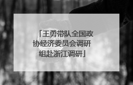 王勇带队全国政协经济委员会调研组赴浙江调研