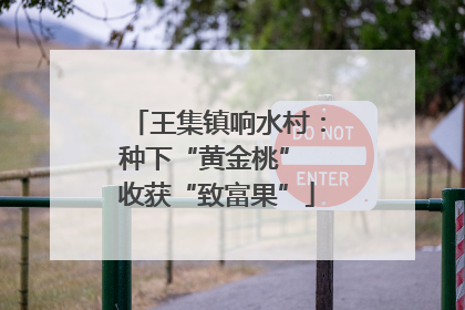 王集镇响水村：种下“黄金桃” 收获“致富果”