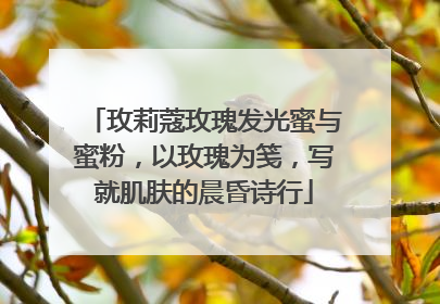 玫莉蔻玫瑰发光蜜与蜜粉，以玫瑰为笺，写就肌肤的晨昏诗行