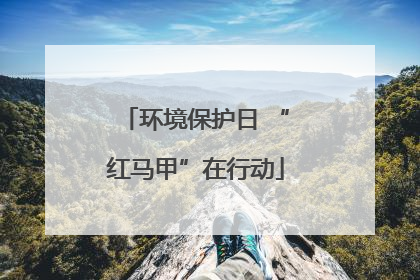 环境保护日 “红马甲”在行动