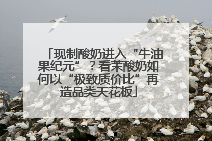 现制酸奶进入“牛油果纪元”？看茉酸奶如何以“极致质价比”再造品类天花板