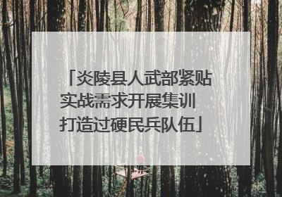 炎陵县人武部紧贴实战需求开展集训 打造过硬民兵队伍
