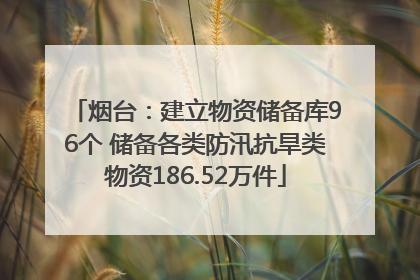 烟台：建立物资储备库96个 储备各类防汛抗旱类物资186.52万件