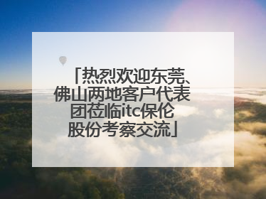 热烈欢迎东莞、佛山两地客户代表团莅临itc保伦股份考察交流