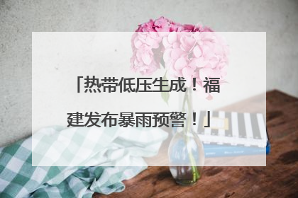 热带低压生成！福建发布暴雨预警！