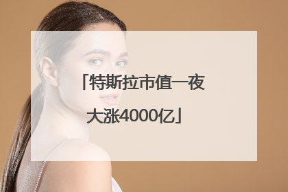 特斯拉市值一夜大涨4000亿