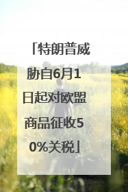 特朗普威胁自6月1日起对欧盟商品征收50%关税