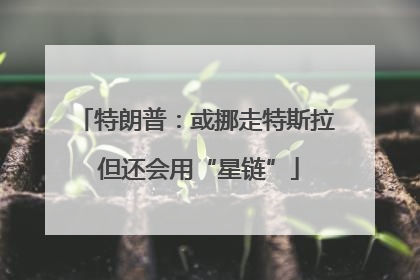 特朗普：或挪走特斯拉 但还会用“星链”