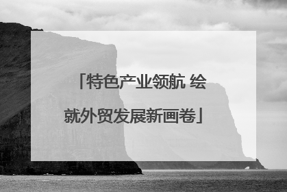 特色产业领航 绘就外贸发展新画卷