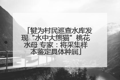 犍为村民巡查水库发现“水中大熊猫”桃花水母 专家：将采集样本鉴定具体种属