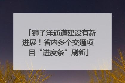 狮子洋通道建设有新进展！省内多个交通项目“进度条”刷新