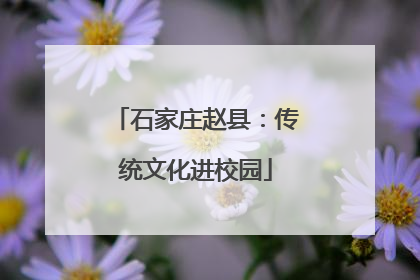 石家庄赵县：传统文化进校园