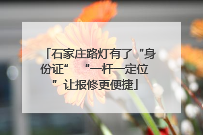 石家庄路灯有了“身份证” “一杆一定位”让报修更便捷